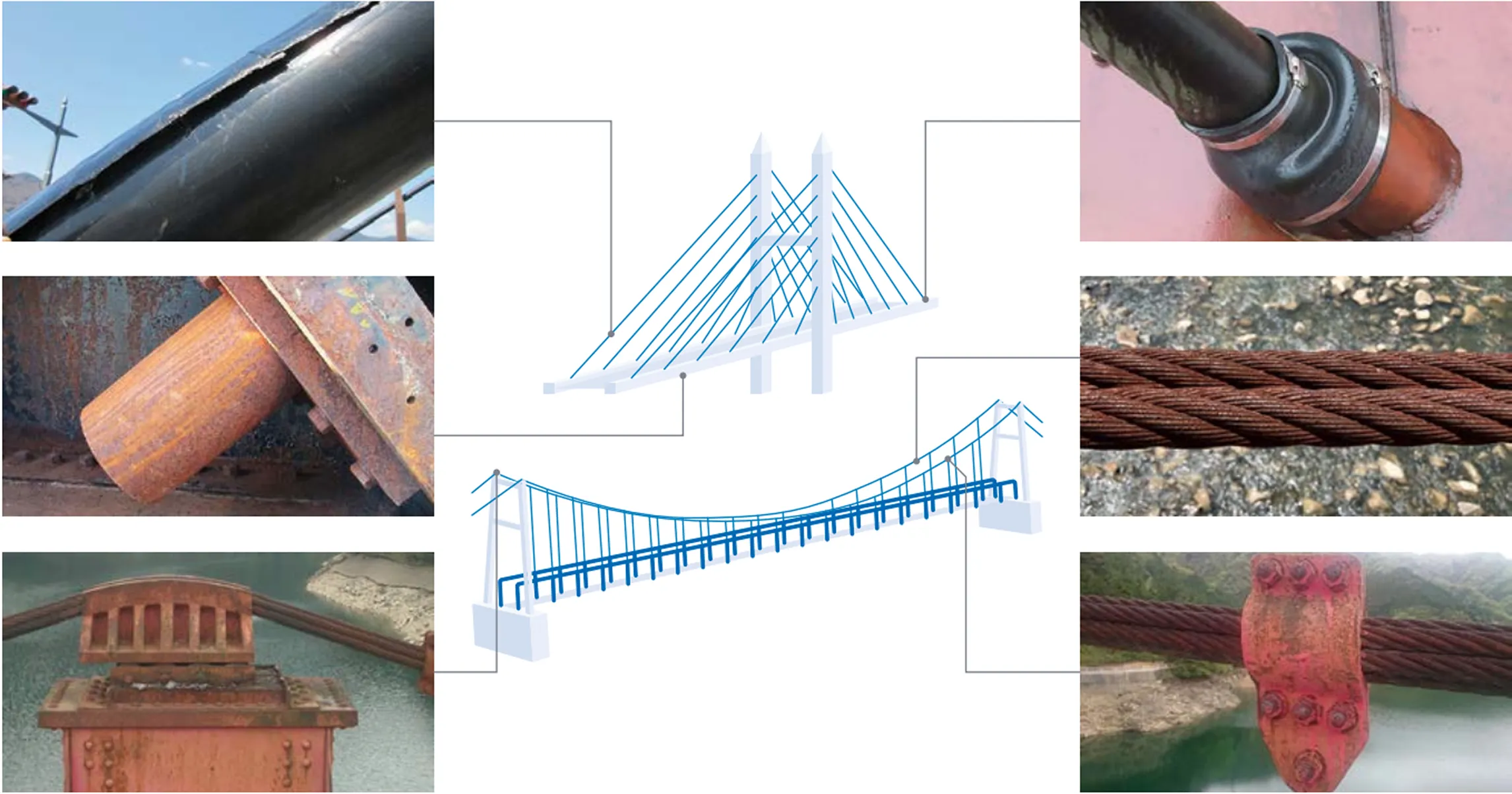 ケーブルの損傷事例