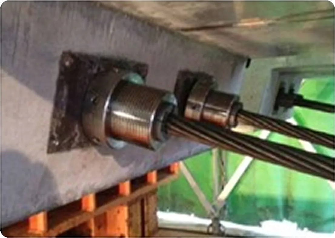 セットロスイージー補正システム