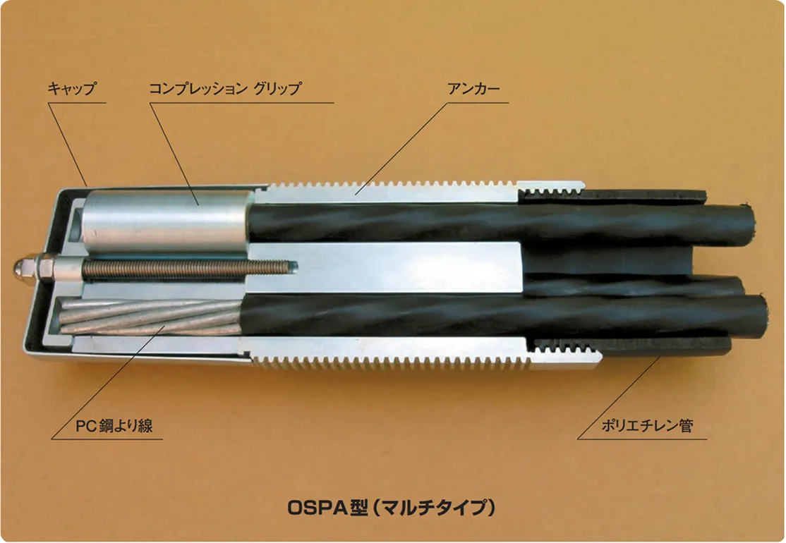 OSPA型（マルチタイプ）切断図