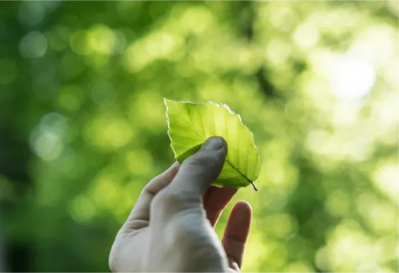 コンプライアンス推進