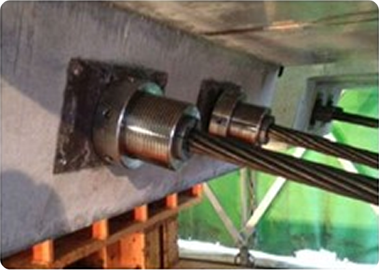 セットロスイージー補正システム